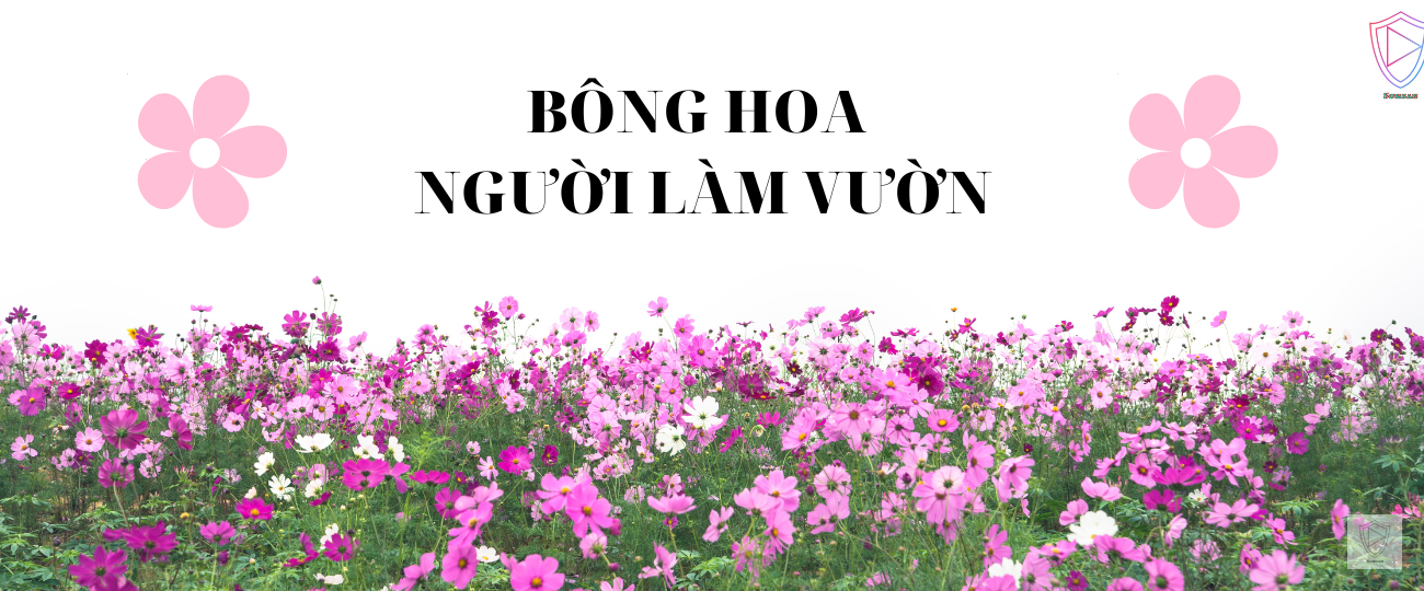 Nước mắt tổn thương