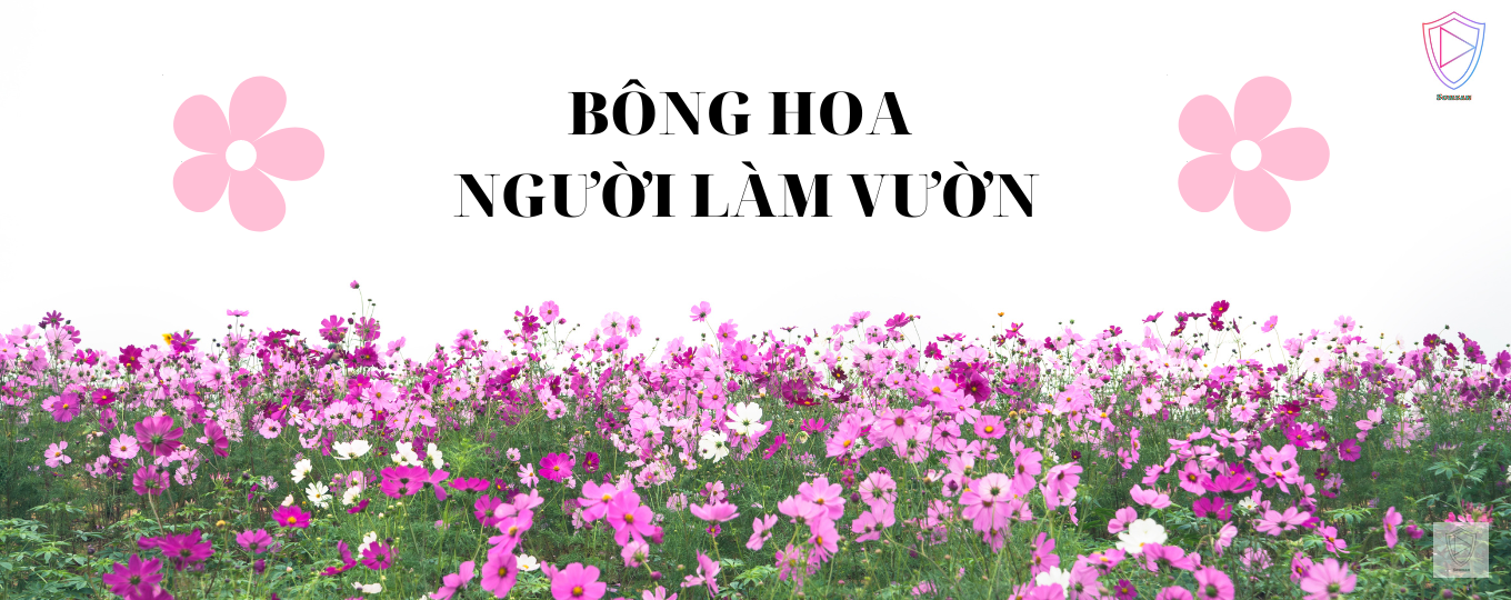 Nước mắt tổn thương